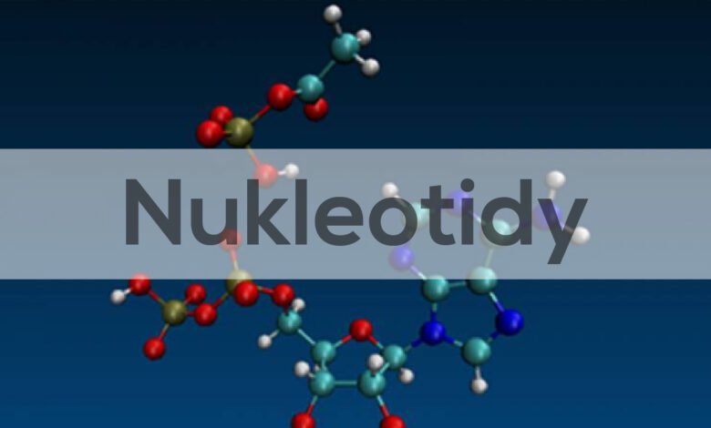 Nukleotidy